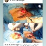 drrikhtegar_1584024165_highlight17847726442926162