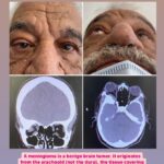 drrikhtegar_1622364986_highlight17847726442926162