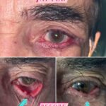 drrikhtegar_1635782013_highlight17847726442926162