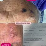 drrikhtegar_1685985471_highlight17847726442926162