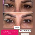 drrikhtegar_1695744151_highlight17956352377678991