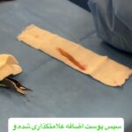 drrikhtegar_1748628313_highlight17962894007957100