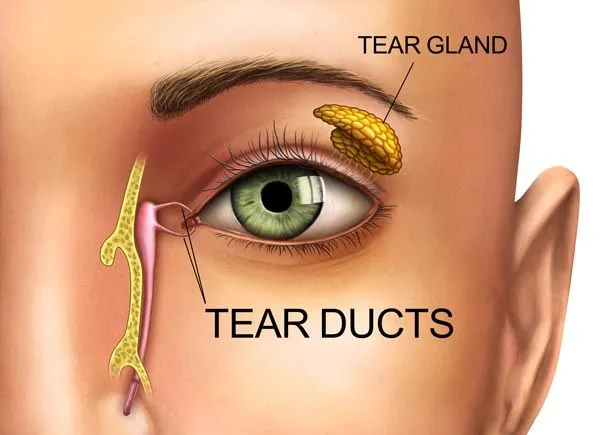 لوله سیلیکونی در جراحی اندوسکوپی مجرای اشکی: زمان گذاشتن و خارج کردن