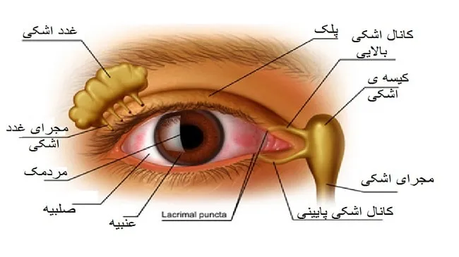 جراحی اندوسکوپی مجرای اشکی بدون برش پوستی
