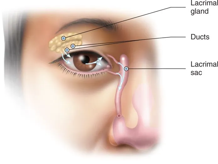 جراحی اندوسکوپی مجرای اشکی در بیماران پرخطر و دارای اختلالات انعقادی